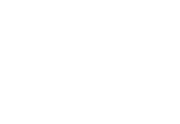 ZUTTO NEW COLOR